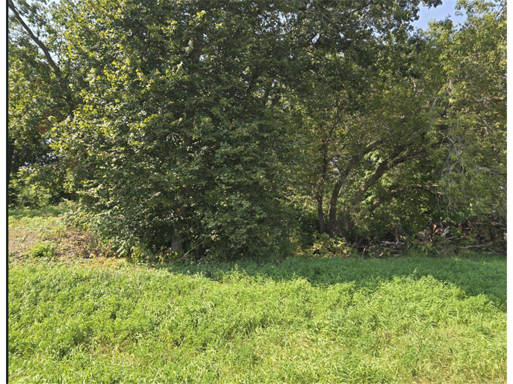 411 Dianne Avenue Vergas MN 56587 6444038 image1