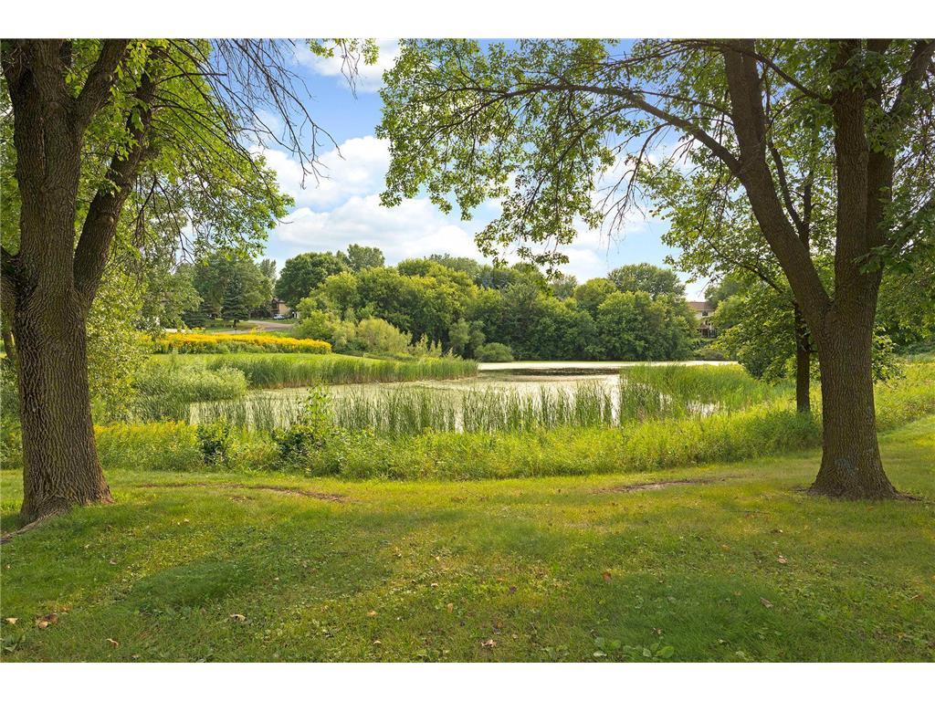 411 Dorland Place Maplewood MN 55119 7042413 image23