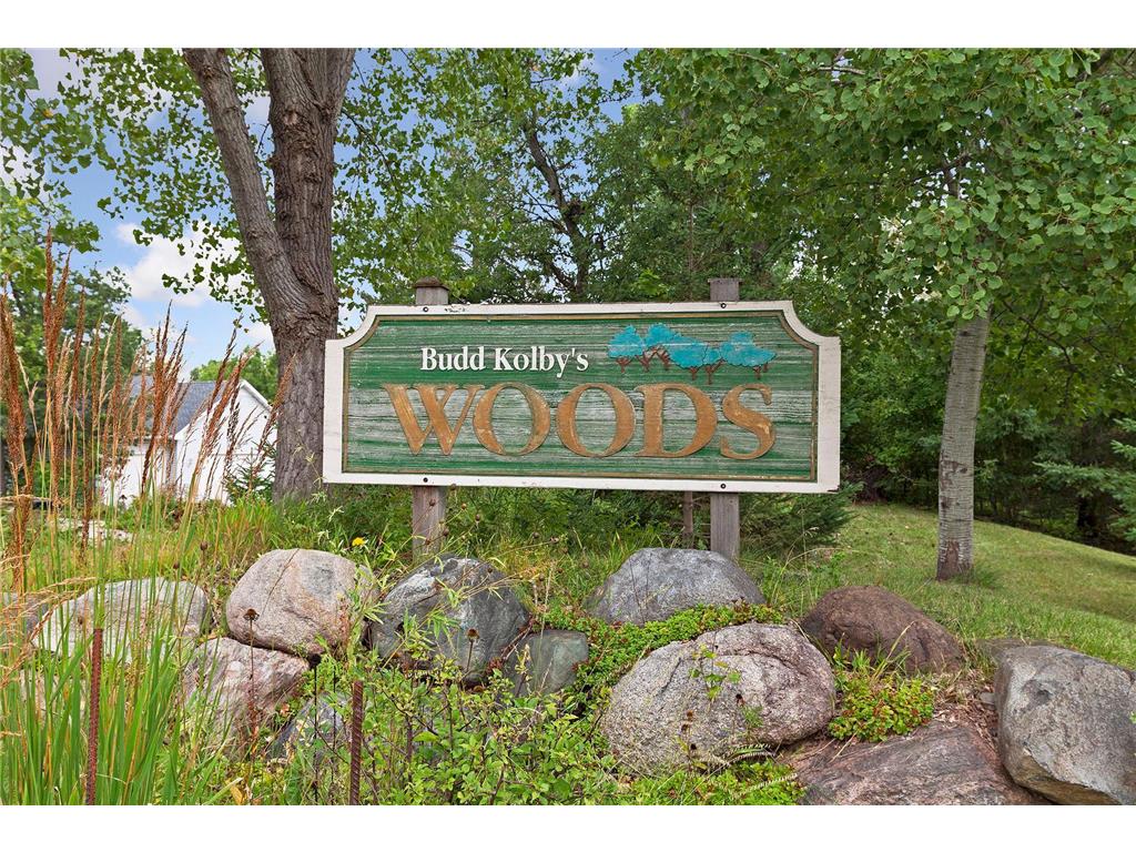 411 Dorland Place Maplewood MN 55119 7042413 image32