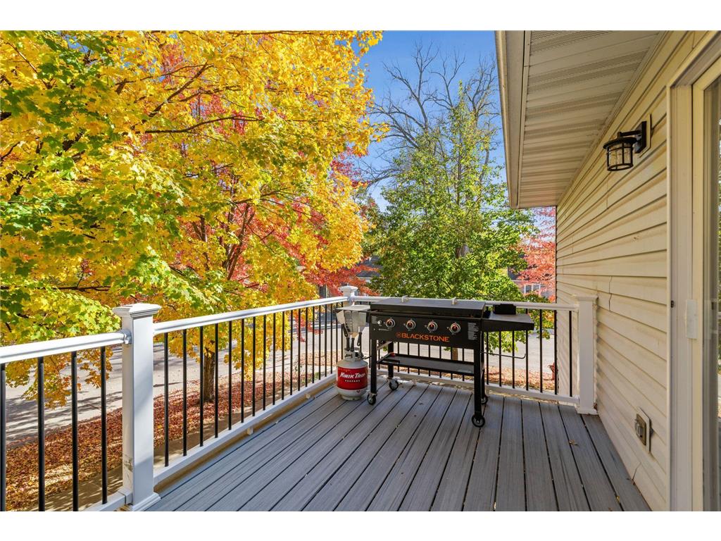 411 E 1st Street Chaska MN 55318 7080306 image5