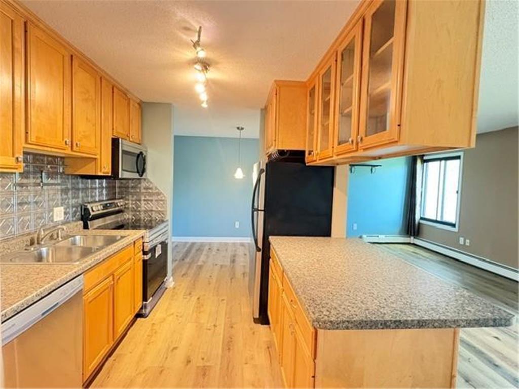 4110 RAHN Road #221 Eagan MN 55122 7076489 image1