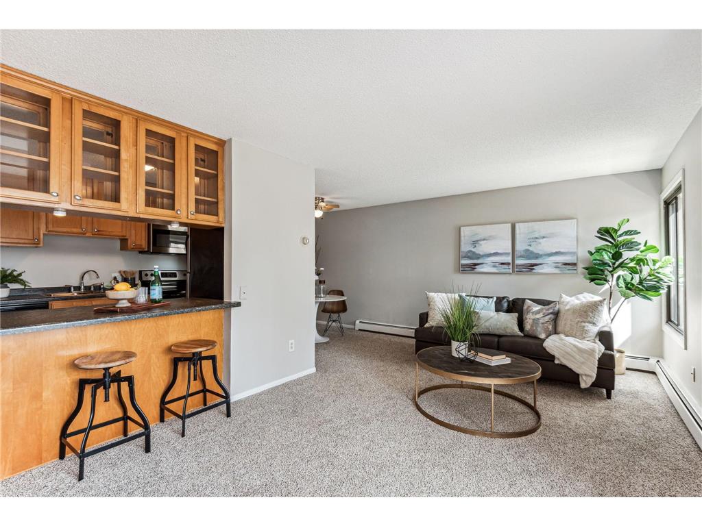 4110 Rahn Road #208 Eagan MN 55122 6540563 image1