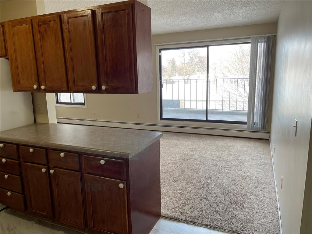 4110 Rahn Road #A205 Eagan MN 55122 6325828 image1