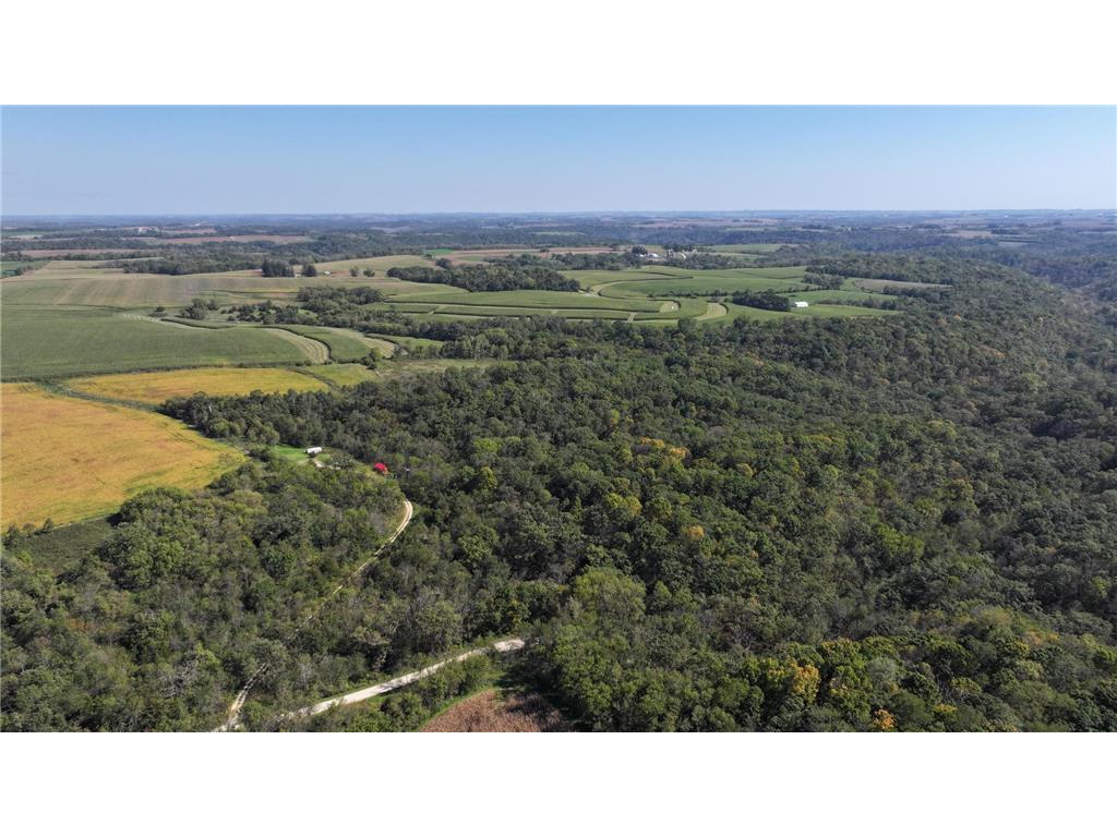 41132 Chestnut Road Norway Twp MN 55949 6793186 image1