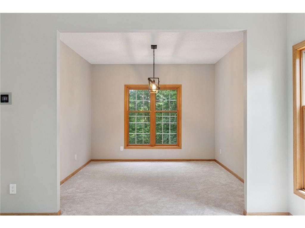 4116 N River Run Savage MN 55378 - Credit River 6753832 image12