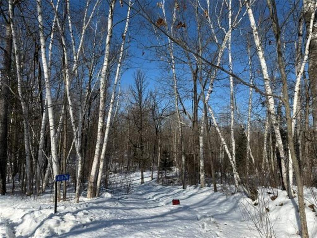 41174 Yellow Birch Lane Emily MN 56447 7019559 image1