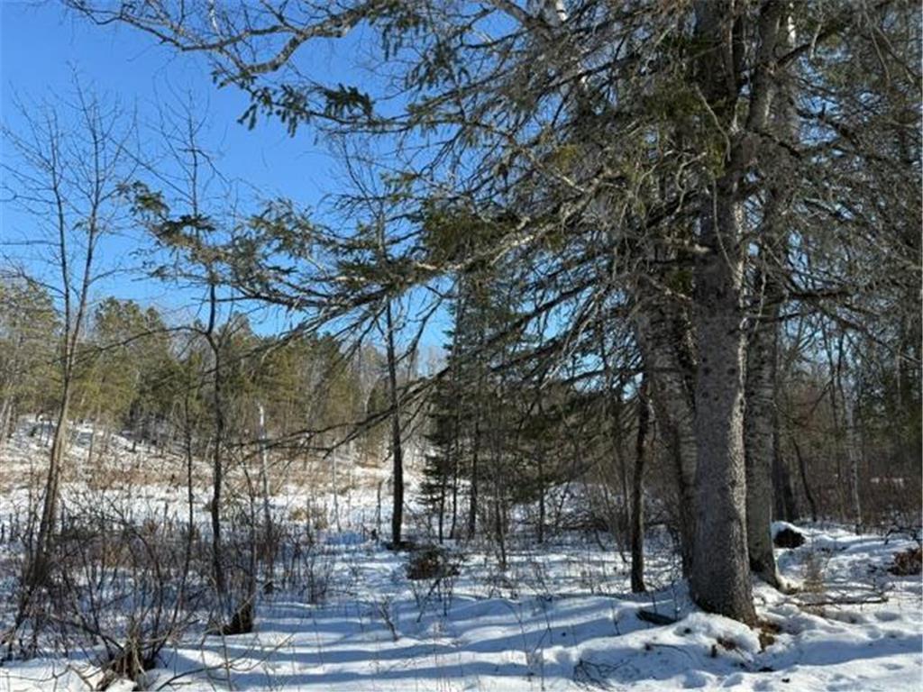 41174 Yellow Birch Lane Emily MN 56447 7019559 image11