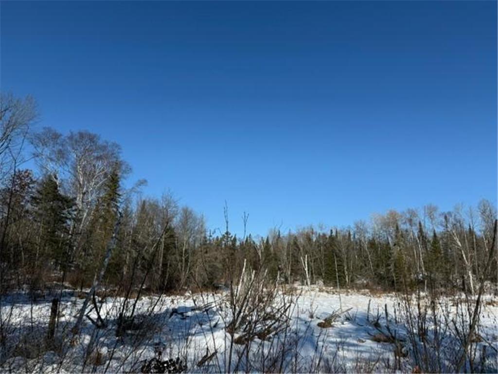 41174 Yellow Birch Lane Emily MN 56447 7019559 image13