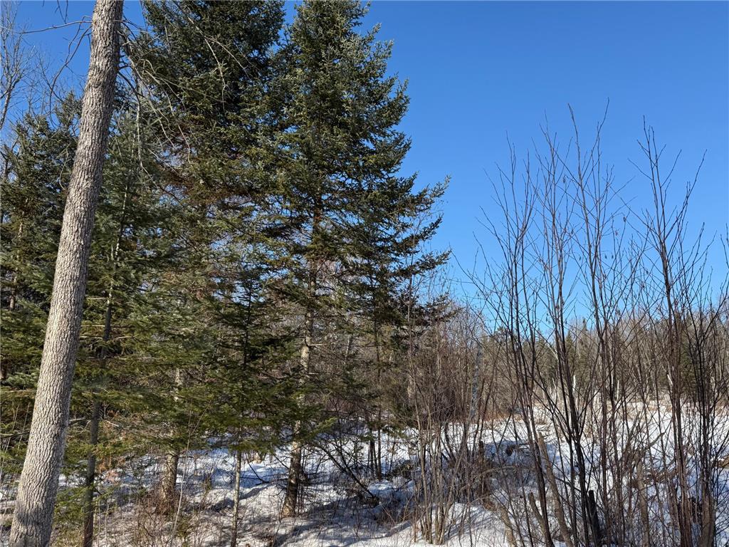 41174 Yellow Birch Lane Emily MN 56447 7019559 image14
