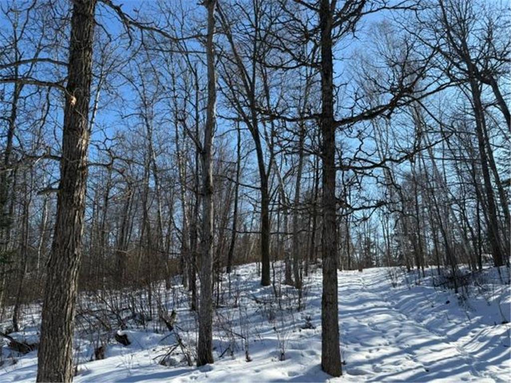 41174 Yellow Birch Lane Emily MN 56447 7019559 image15