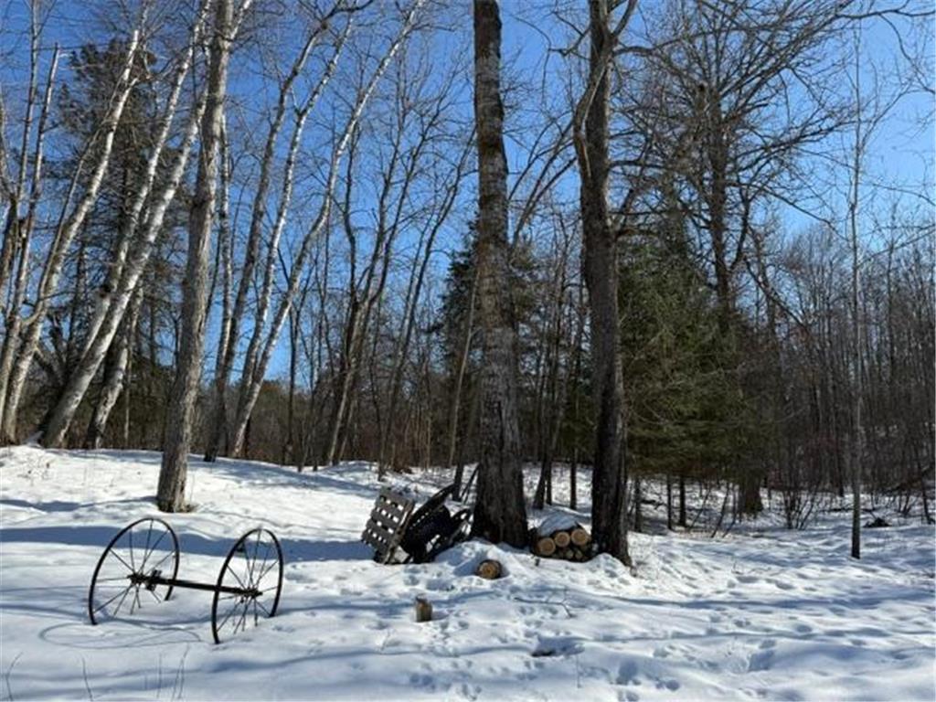 41174 Yellow Birch Lane Emily MN 56447 7019559 image16