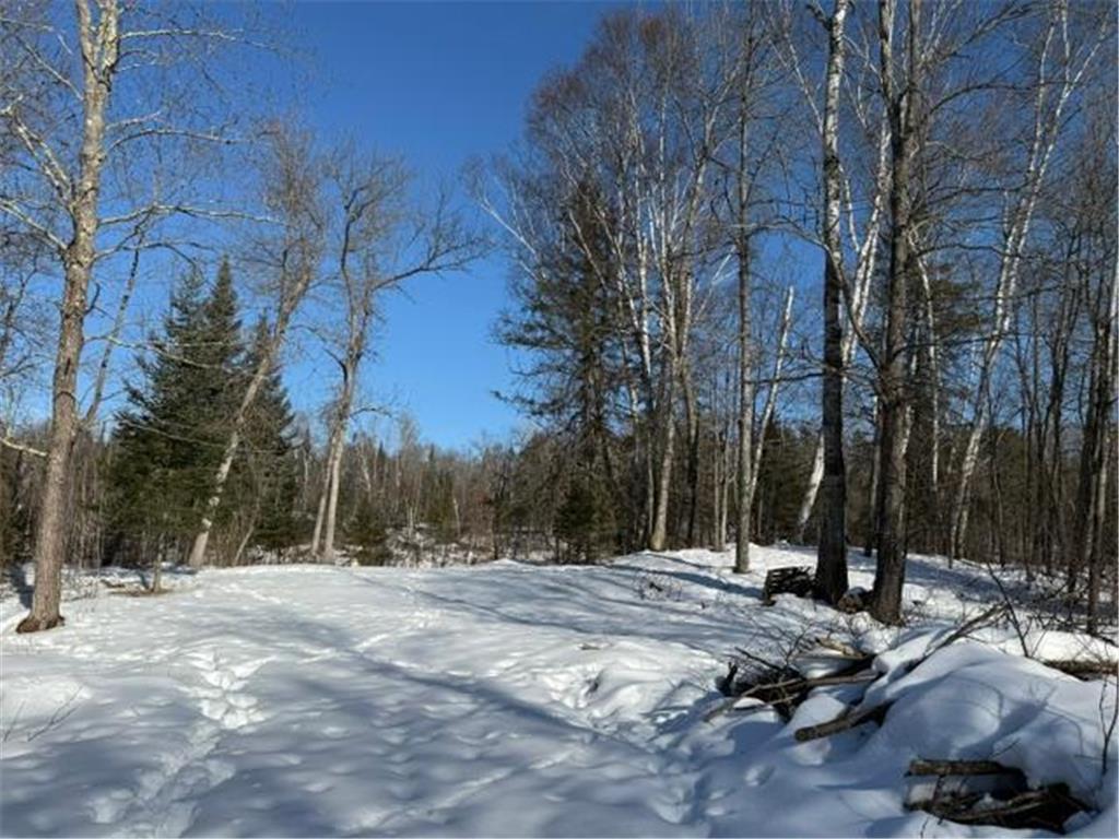 41174 Yellow Birch Lane Emily MN 56447 7019559 image18