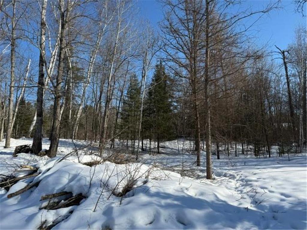 41174 Yellow Birch Lane Emily MN 56447 7019559 image19