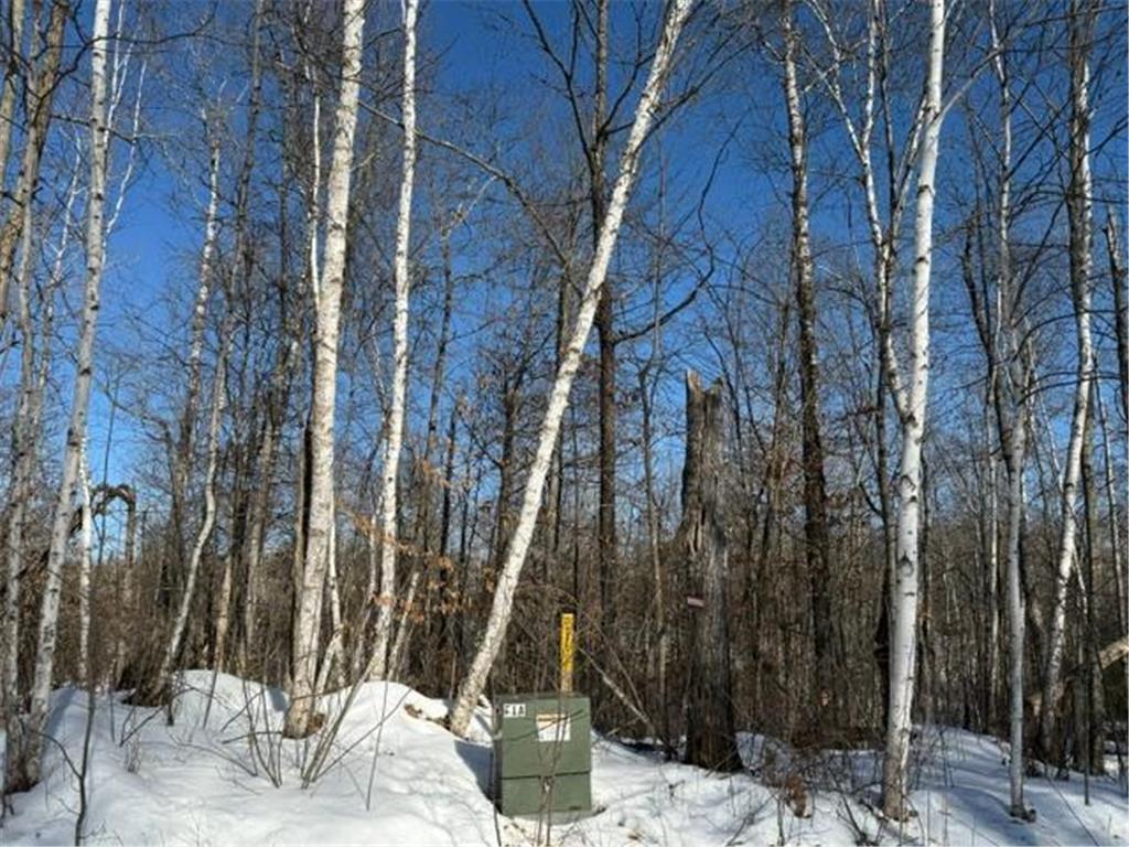 41174 Yellow Birch Lane Emily MN 56447 7019559 image2
