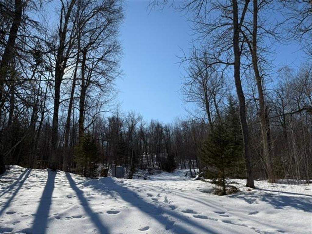 41174 Yellow Birch Lane Emily MN 56447 7019559 image21