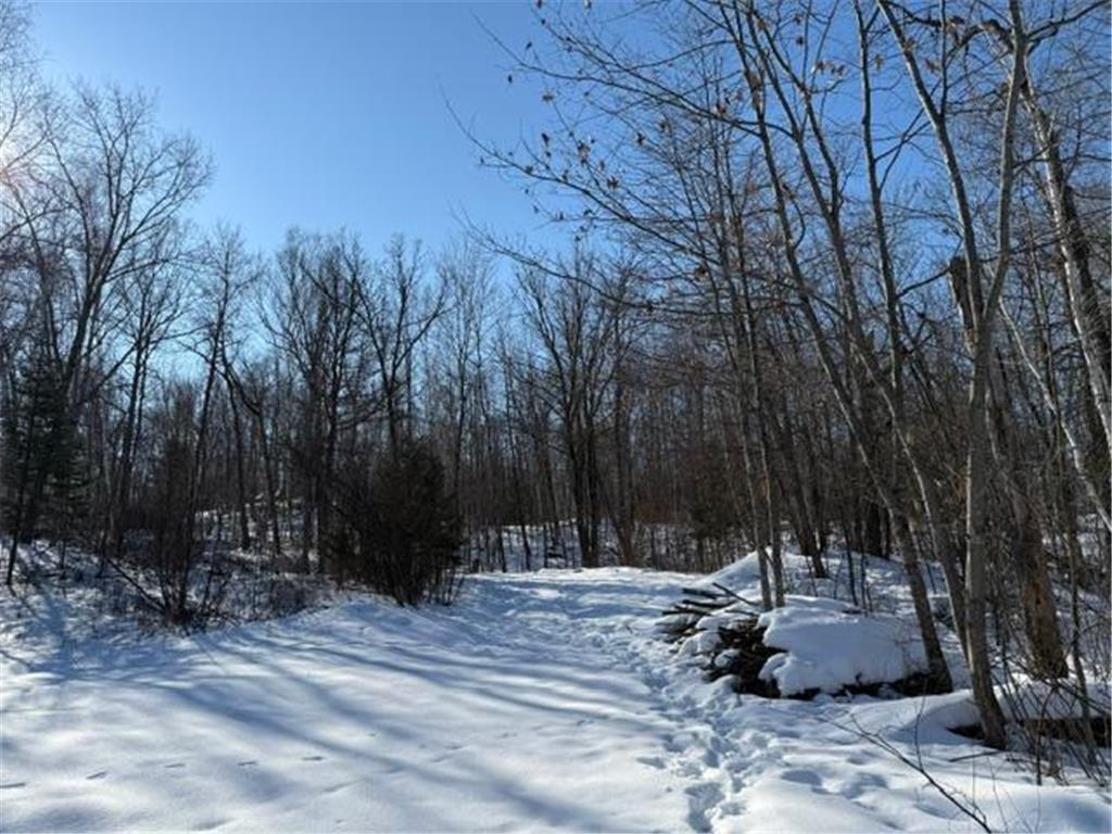 41174 Yellow Birch Lane Emily MN 56447 7019559 image22