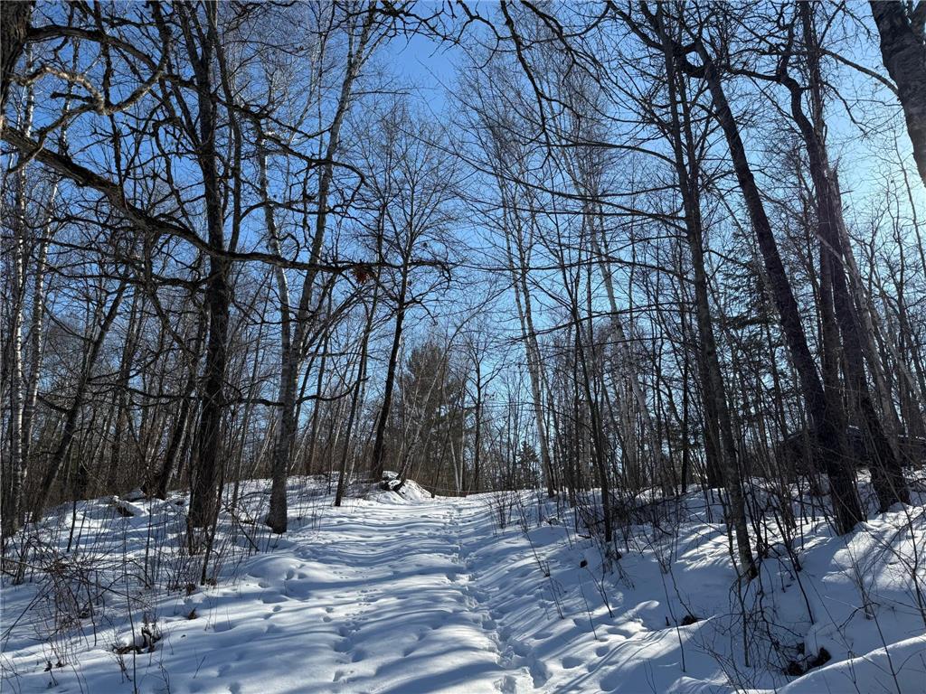41174 Yellow Birch Lane Emily MN 56447 7019559 image24
