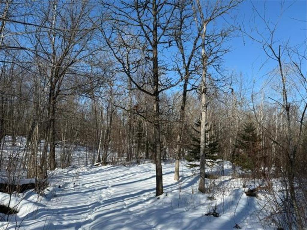 41174 Yellow Birch Lane Emily MN 56447 7019559 image3