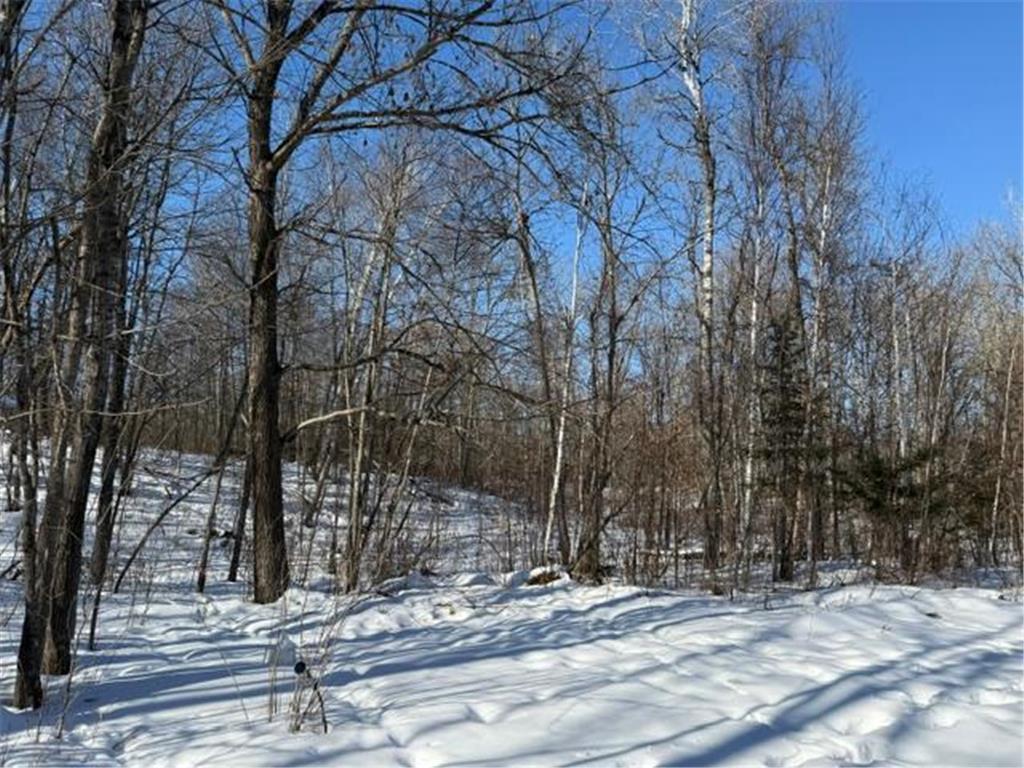 41174 Yellow Birch Lane Emily MN 56447 7019559 image4