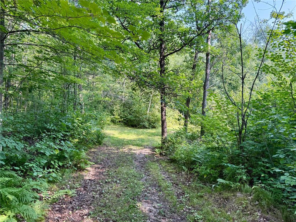 41174 Yellow Birch Lane Emily MN 56447 7019559 image5