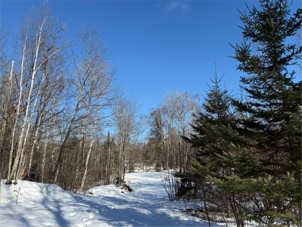 41174 Yellow Birch Lane Emily MN 56447 7019559 image6