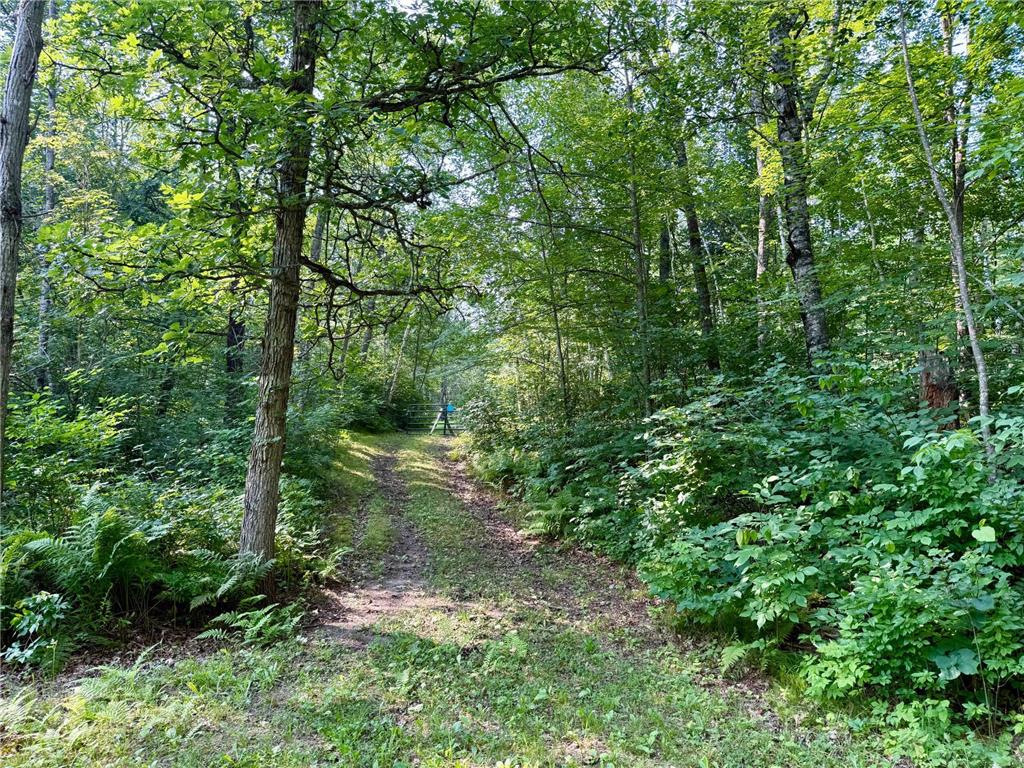 41174 Yellow Birch Lane Emily MN 56447 7019559 image7