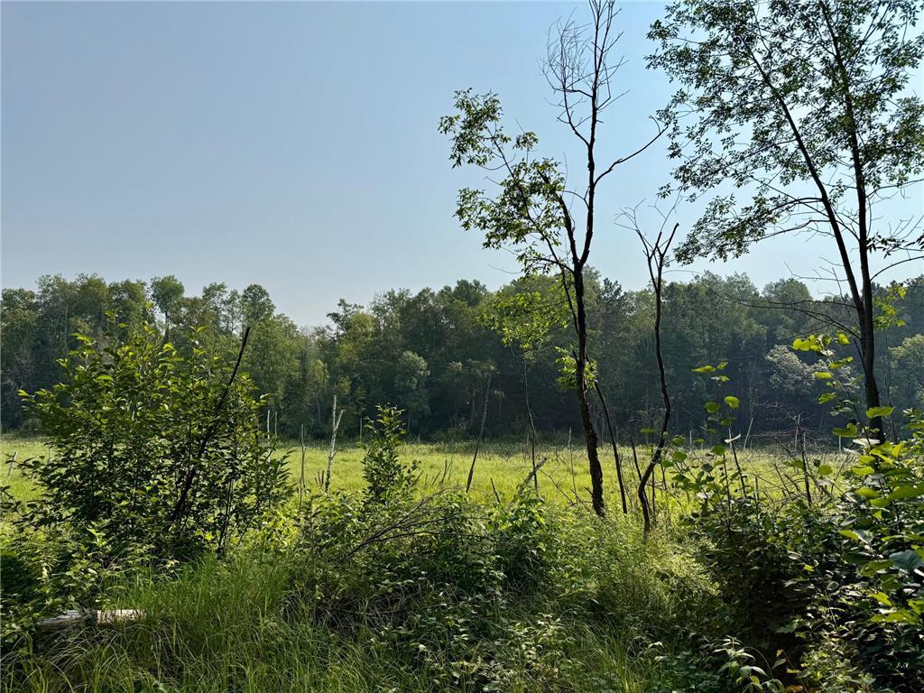 41174 Yellow Birch Lane Emily MN 56447 7019559 image9