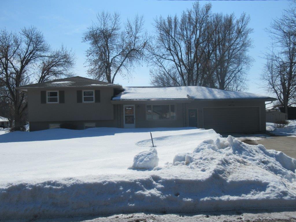 412 E 4th Street Hills MN 56138 6264061 image1