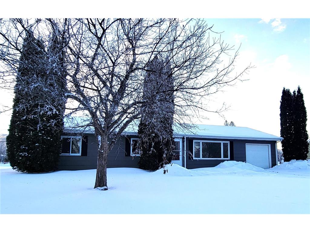 412 E Hamilton Avenue Baudette MN 56623 7005939 image1