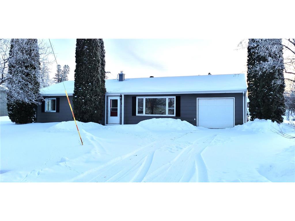 412 E Hamilton Avenue Baudette MN 56623 7005939 image2