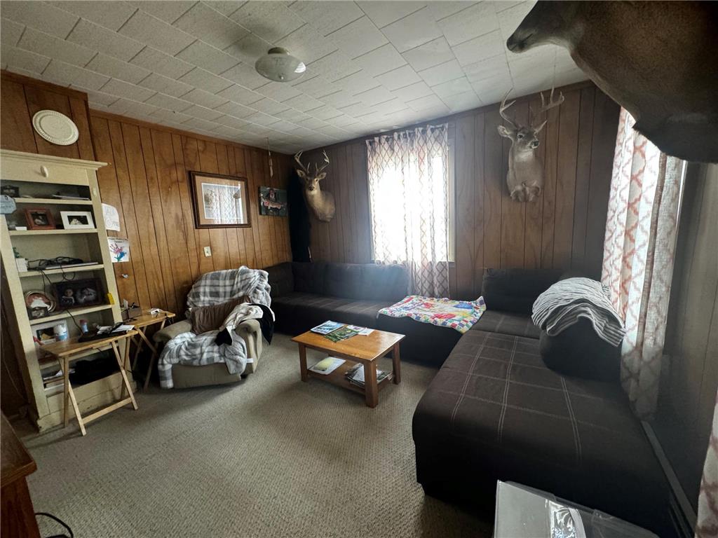 412 Main Street E, Norwood Young America, MN, 55397 MLS 6521536