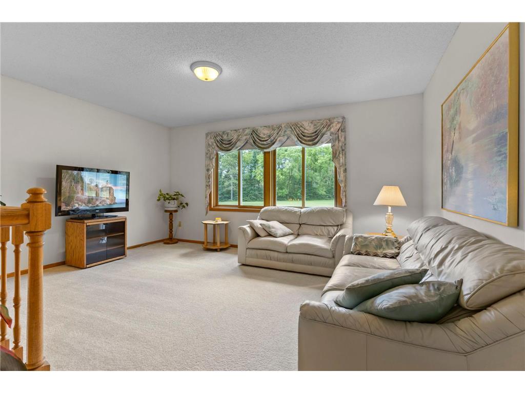 4120 205th Lane NW Anoka MN 55303 7093333 image20