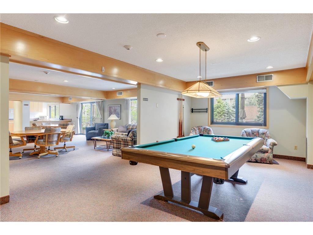 4120 Parklawn Avenue #222 Edina MN 55435 7060596 image29