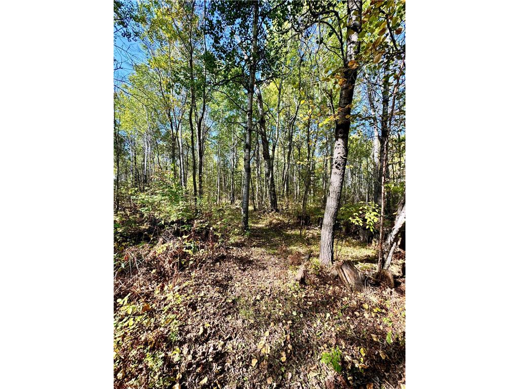 4125 94th Avenue NW Roosevelt MN 56673 6796530 image23