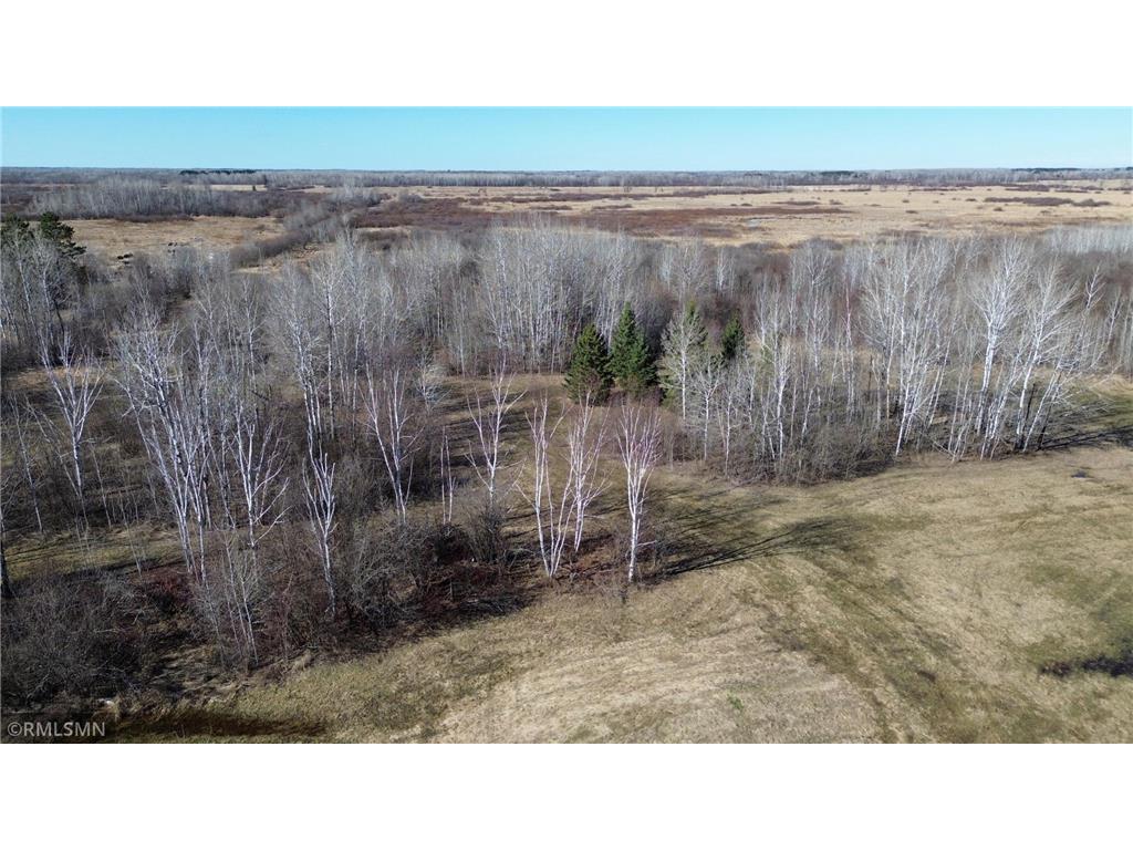 41254 155th Place Clark Twp MN 55760 7074350 image32