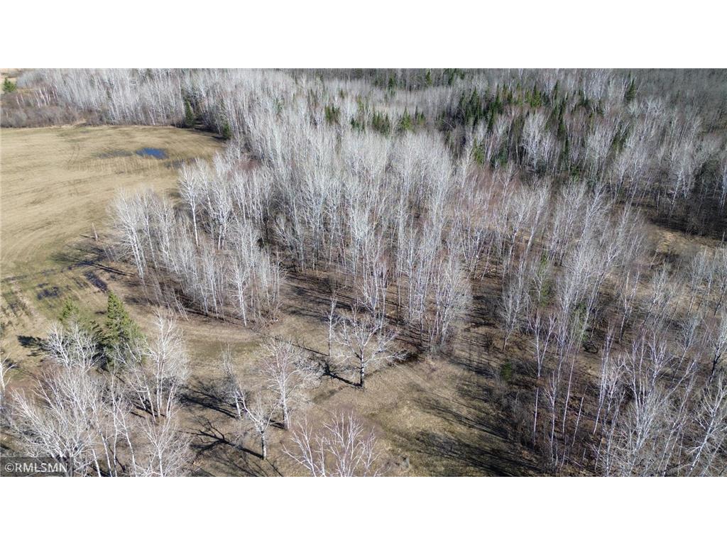 41254 155th Place Clark Twp MN 55760 7074350 image35