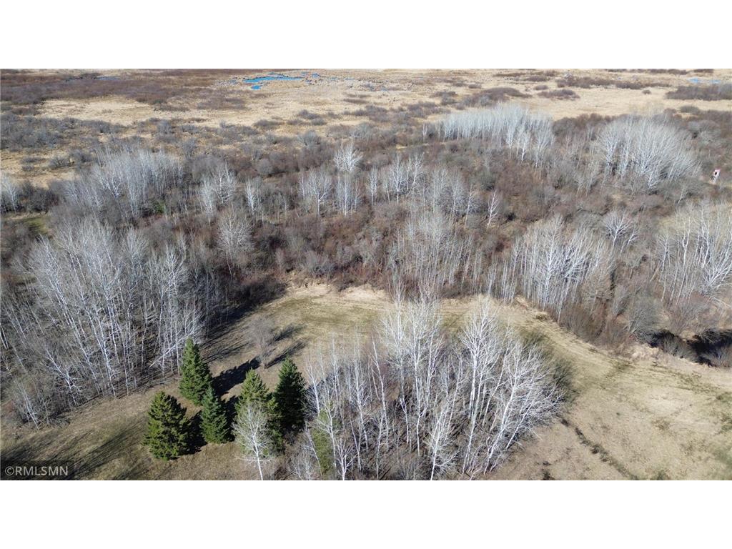 41254 155th Place Clark Twp MN 55760 7074350 image37