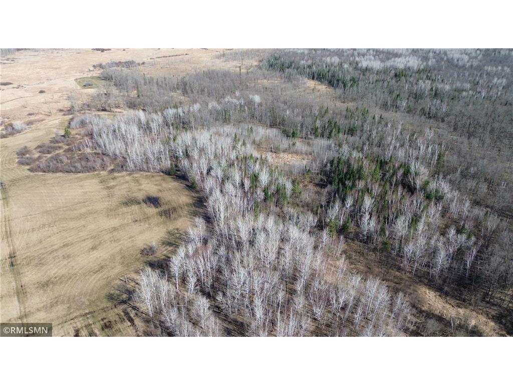 41254 155th Place Clark Twp MN 55760 7074350 image40