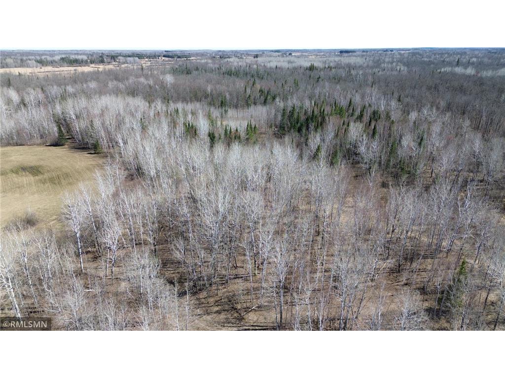 41254 155th Place Clark Twp MN 55760 7074350 image51