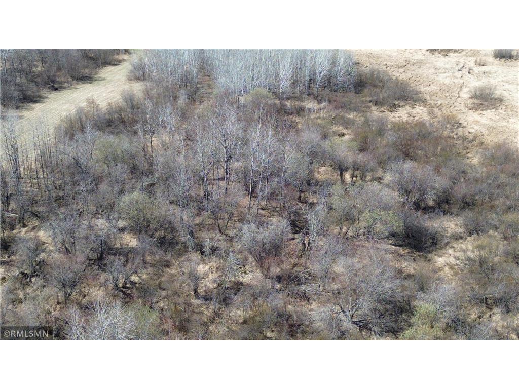 41254 155th Place Clark Twp MN 55760 7074350 image57