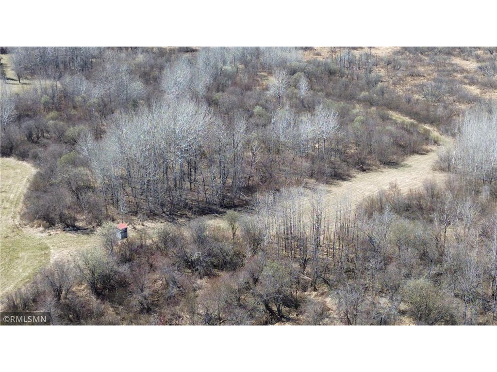 41254 155th Place Clark Twp MN 55760 7074350 image60