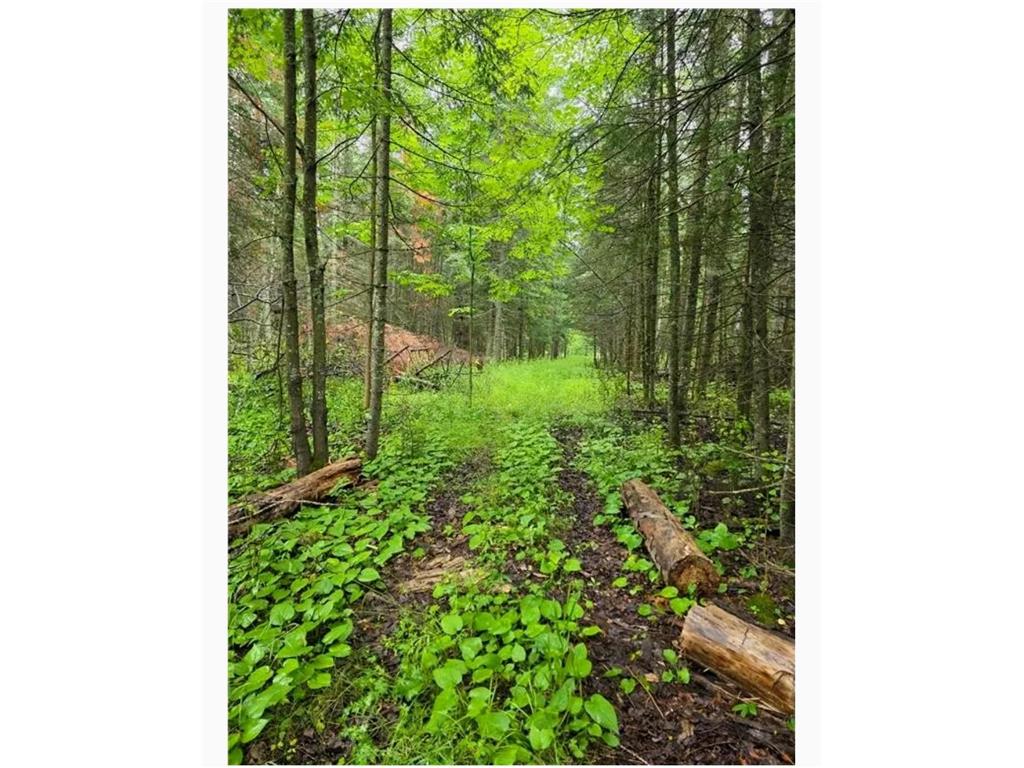 4126 Mattson Road Hibbing MN 55746 7056356 image14