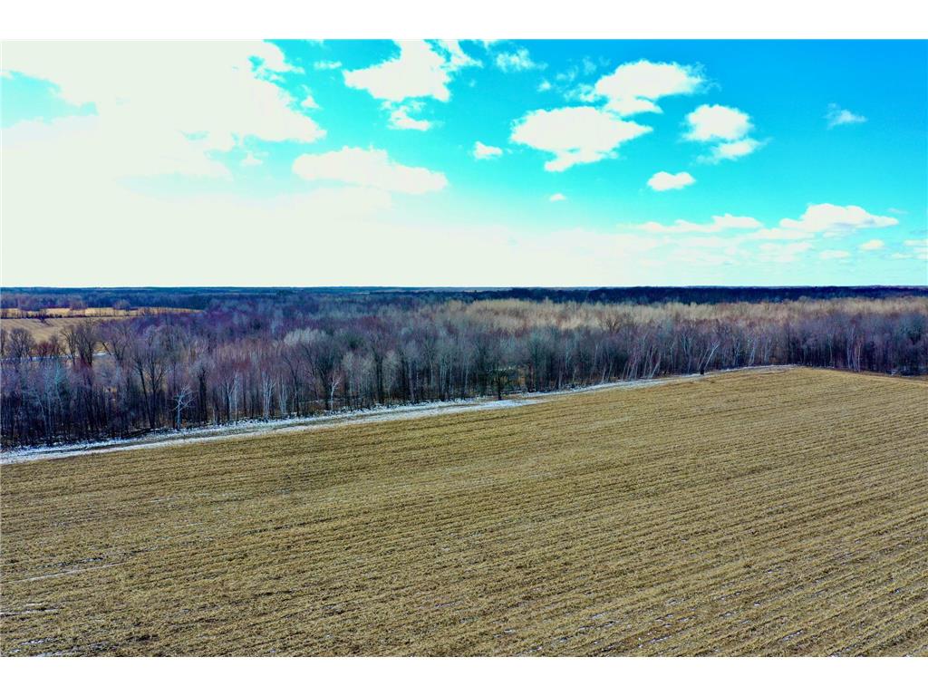 41273 Swede Alley Arlone Twp MN 55037 7049969 image13