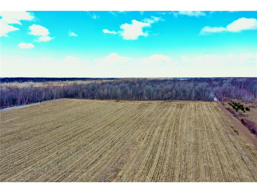 41273 Swede Alley Arlone Twp MN 55037 7049969 image14