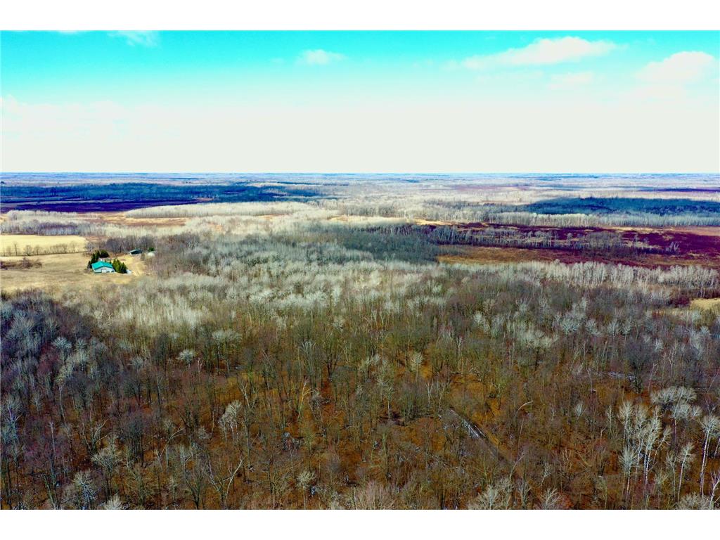 41273 Swede Alley Arlone Twp MN 55037 7049969 image18