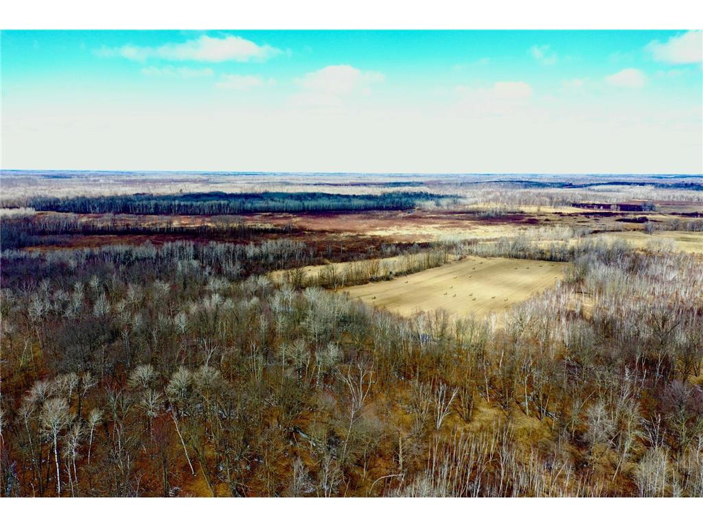 41273 Swede Alley Arlone Twp MN 55037 7049969 image20