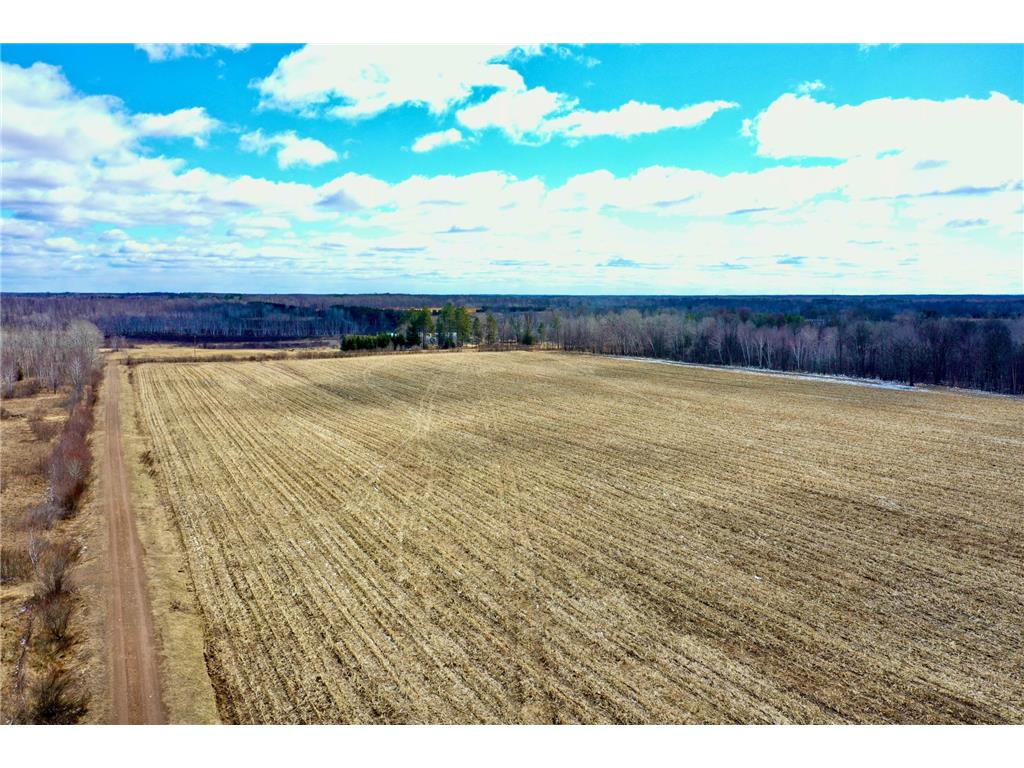 41273 Swede Alley Arlone Twp MN 55037 7049969 image21