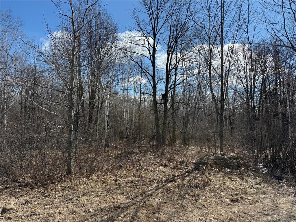 41273 Swede Alley Arlone Twp MN 55037 7049969 image60