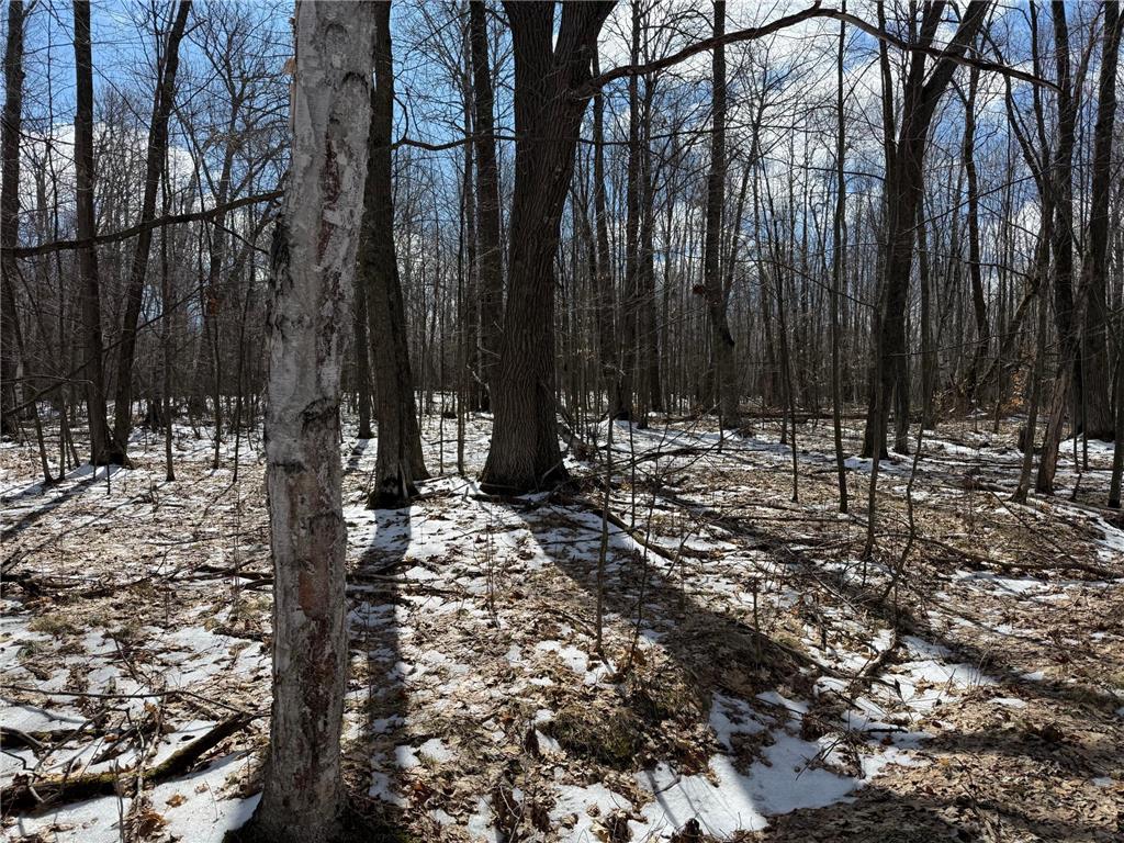 41273 Swede Alley Arlone Twp MN 55037 7049969 image61