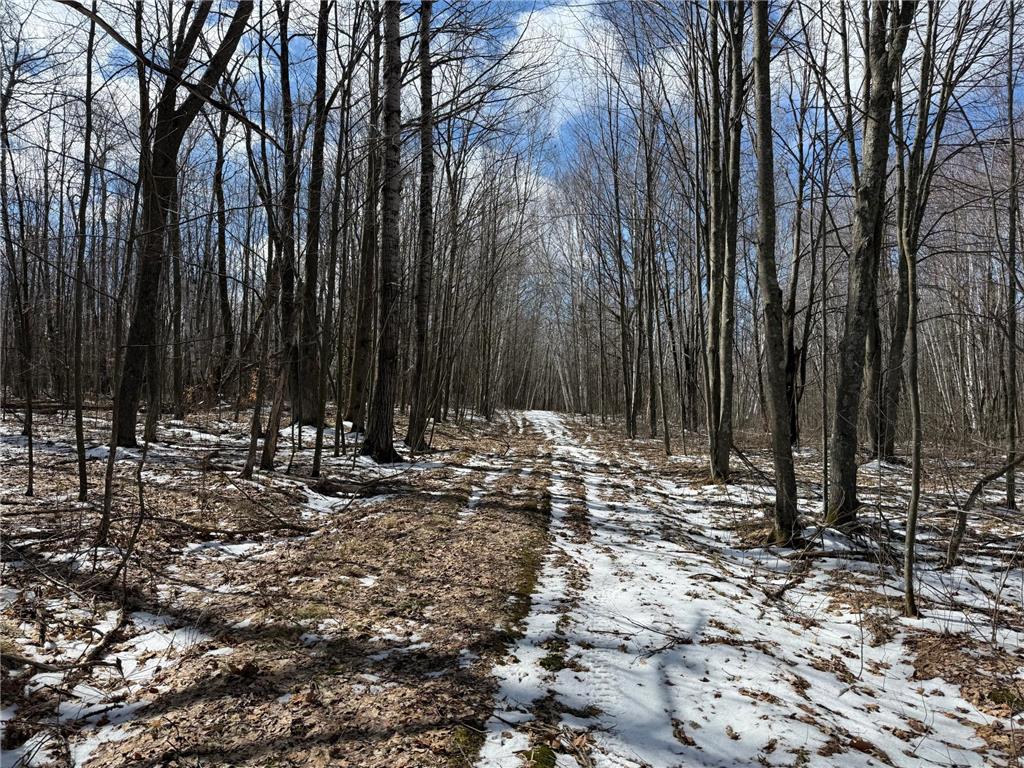 41273 Swede Alley Arlone Twp MN 55037 7049969 image62